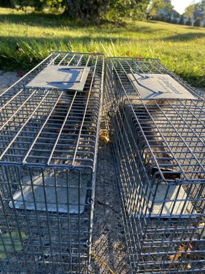 Incredible pest management