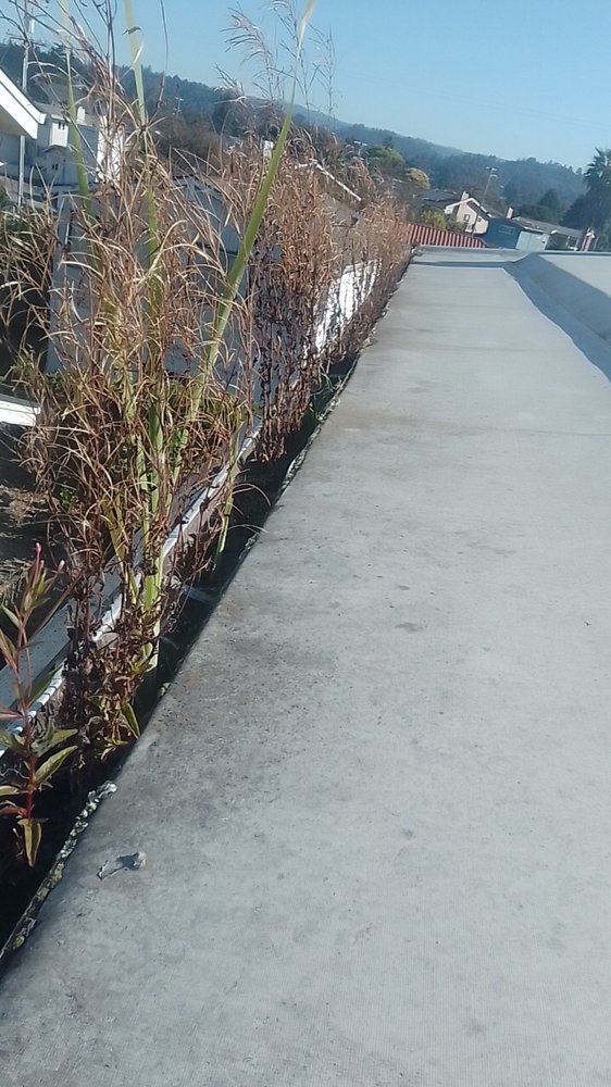 Slide of Bay Area Raingutters