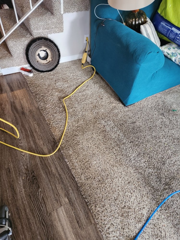 ISRAEL PEREZ CARPET CLEANING Updated May 2024 33 Photos Buena