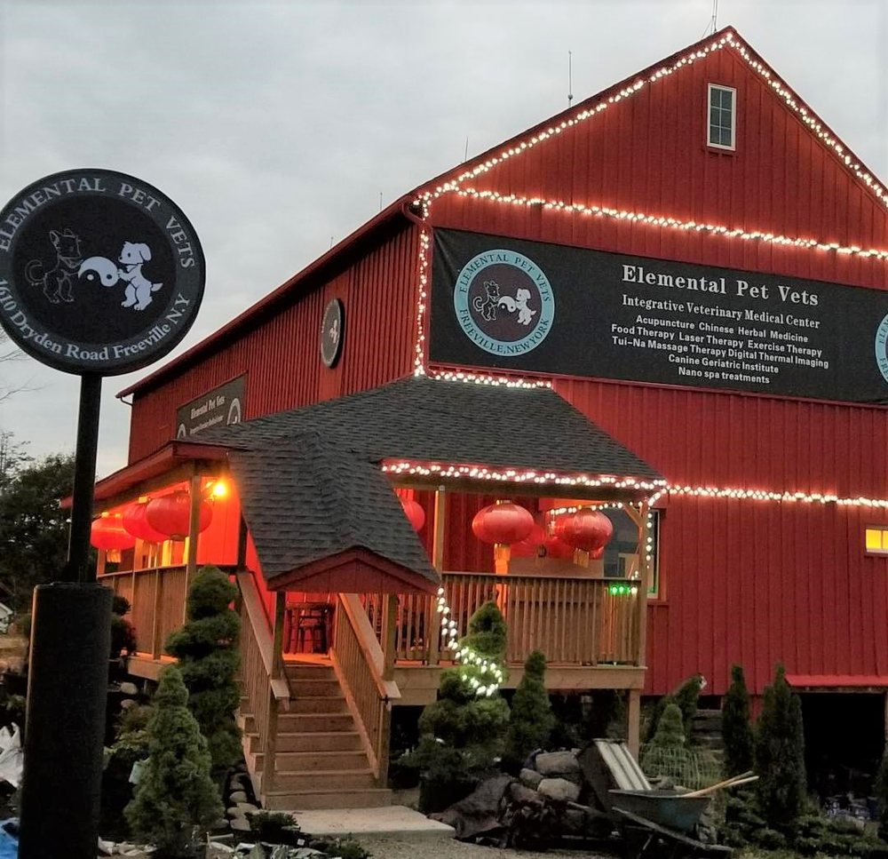 ELEMENTAL PET VETS Updated October 2024 1610 Dryden Rd, Freeville