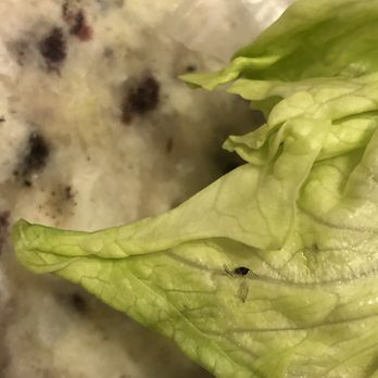 Kroger Marketplace - Bug & wings - Grocery Near Me - Prosper, Texas Kroger Marketplace - Bug & wings - Grocery Near Me - Prosper, Texas