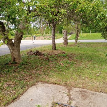 All Cutz - You couldn't see the road before he started work. - Lawn Services Near Me All Cutz - You couldn't see the road before he started work. - Lawn Services Near Me