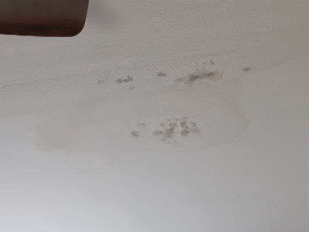 Slide of Chad's Roofing