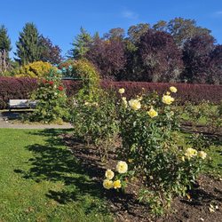 Sara Hite Memorial Rose Garden