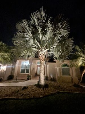 Port St. Lucie Florida - Experience the magic of our recent landscape lighting project in Port St. Lucie, Florida. With a total of 31 carefully placed lights, we transformed a once dark and underutilized backyard into a stunning oasis. We will meticulously craft a lighting design to not only brighten the space but also enhance its beauty. Now, the residents can fully enjoy their outdoor haven, even after the sun sets. Illuminate your nights, elevate your surroundings and let us bring light to your outdoor living experience. Port St. Lucie Florida - Experience the magic of our recent landscape lighting project in Port St. Lucie, Florida. With a total of 31 carefully placed lights, we transformed a once dark and underutilized backyard into a stunning oasis. We will meticulously craft a lighting design to not only brighten the space but also enhance its beauty. Now, the residents can fully enjoy their outdoor haven, even after the sun sets. Illuminate your nights, elevate your surroundings and let us bring light to your outdoor living experience.