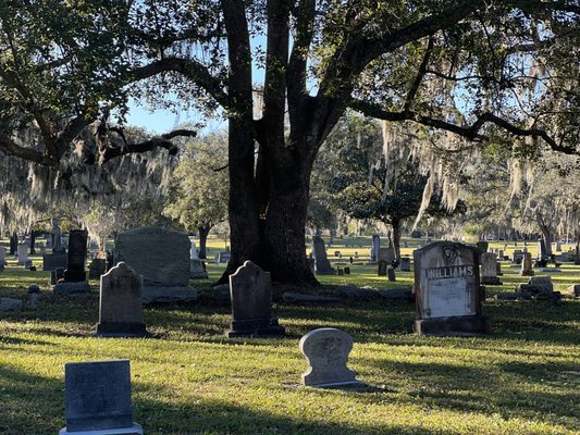 Greenwood Cemetery by null