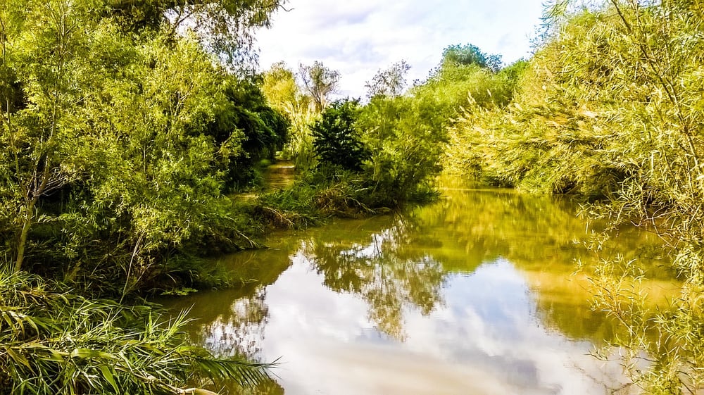Sabal Palm Sanctuary