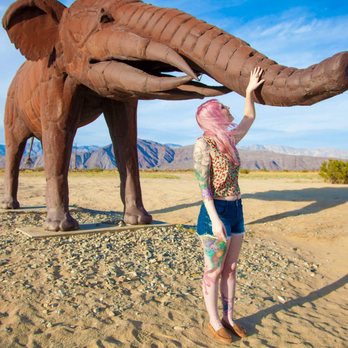 Elijah LeComte Photography - Borrego Springs, CA - Session Photography Near Me Elijah LeComte Photography - Borrego Springs, CA - Session Photography Near Me