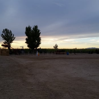 Black Island Farms - Black Island Farms. Beautiful evening! - Farms Near Me - Syracuse, Utah