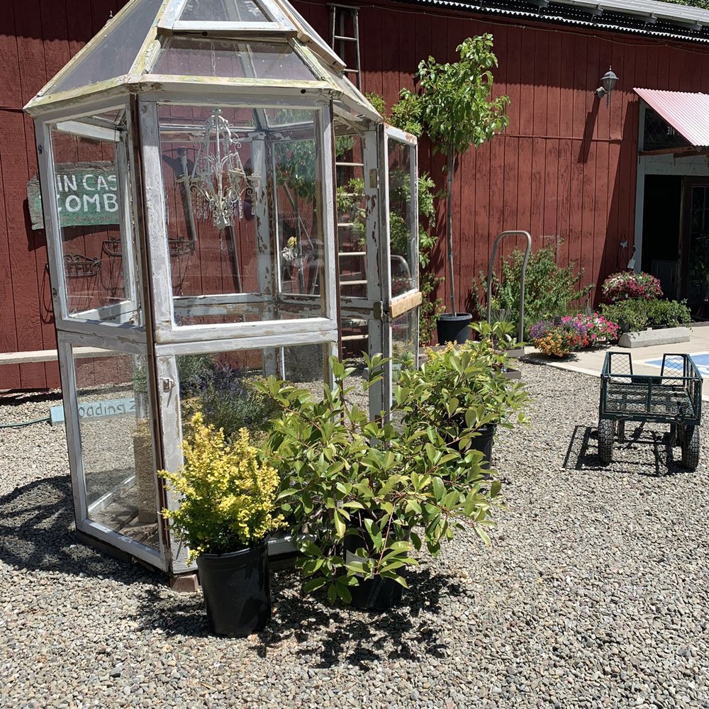Tracy's Nursery and Gardens - Nurseries & Gardening Near Me - Tracy, California