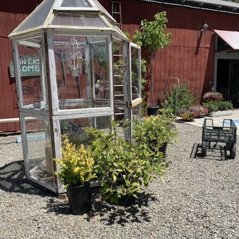 Tracy's Nursery and Gardens - Nurseries & Gardening Near Me - Tracy, California