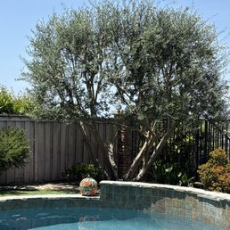 After pruning After pruning