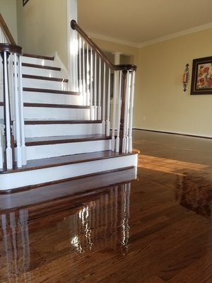 Refinishing - Transform Your Space with Expert Hardwood Floor Refinishing by Artwood Floors
Is your hardwood floor looking worn out or faded? Bring back its beauty and shine with professional refinishing services from Artwood Floors! Our skilled team specializes in restoring the natural elegance of hardwood floors, making them look as good as new. Whether it's deep cleaning, sanding, or re-coating, we have the tools and expertise to handle it all.
Why Choose Artwood Floors for Your Hardwood Floor Refinishing?
Expert Craftsmanship: We use the latest techniques and high-quality finishes to restore your floors to their original luster.
Affordable & Efficient: Our refinishing services are cost-effective and designed to minimize disruption to your daily routine.
Satisfaction Guaranteed: We ensure that you’re completely happy with the final results, offering a flawless finish every time.
Let’s Revitalize Your Hardwood Floors! Contact us today for a FREE estimate and get started on bringing the beauty back to your hardwood floors.
📞 Call or text us at 203-545-1254 for more information or to schedule your free consultation. Refinishing - Transform Your Space with Expert Hardwood Floor Refinishing by Artwood Floors
Is your hardwood floor looking worn out or faded? Bring back its beauty and shine with professional refinishing services from Artwood Floors! Our skilled team specializes in restoring the natural elegance of hardwood floors, making them look as good as new. Whether it's deep cleaning, sanding, or re-coating, we have the tools and expertise to handle it all.
Why Choose Artwood Floors for Your Hardwood Floor Refinishing?
Expert Craftsmanship: We use the latest techniques and high-quality finishes to restore your floors to their original luster.
Affordable & Efficient: Our refinishing services are cost-effective and designed to minimize disruption to your daily routine.
Satisfaction Guaranteed: We ensure that you’re completely happy with the final results, offering a flawless finish every time.
Let’s Revitalize Your Hardwood Floors! Contact us today for a FREE estimate and get started on bringing the beauty back to your hardwood floors.
📞 Call or text us at 203-545-1254 for more information or to schedule your free consultation.