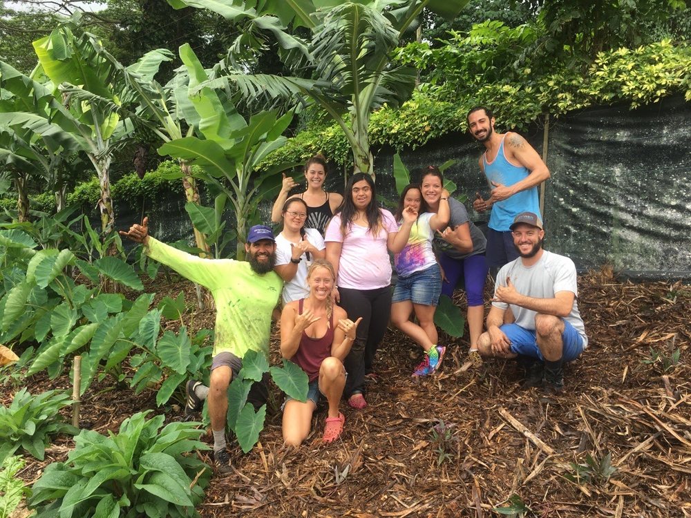 Kahumana Learning Center - social services organization in Kailua, HI