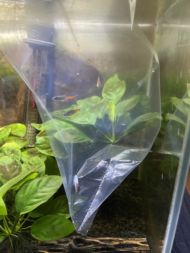 V.I. PETS CUTLERVILLE Updated August 2024 16 Reviews 6701 Division Ave S, Grand Rapids