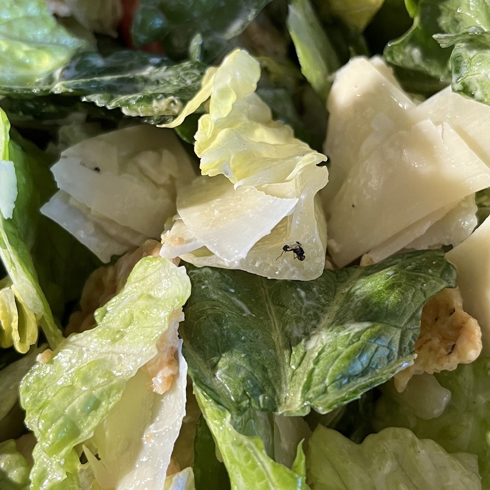 sweetgreen - Healthy Salads, Wraps, and Bowls - Fly in my food - Salad Near Me - Manhattan Beach, California sweetgreen - Healthy Salads, Wraps, and Bowls - Fly in my food - Salad Near Me - Manhattan Beach, California