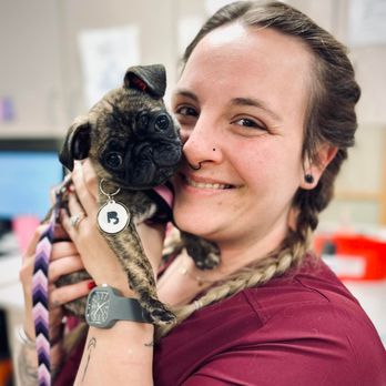University West Pet Clinic - Veterinarians Near Me - Clive, Iowa University West Pet Clinic - Veterinarians Near Me - Clive, Iowa