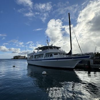 Prince Kuhio Tours - Boat Tours Near Me - Honolulu, Hawaii Prince Kuhio Tours - Boat Tours Near Me - Honolulu, Hawaii