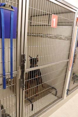 Animal Hospital Of Perth Amboy 276 High St Perth Amboy Nj Veterinarians Mapquest