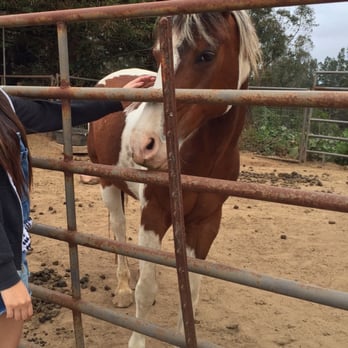 Crystal Bay Farm - Also a beautiful and sweet horse in the farm! - Fruits & Veggies Near Me - Watsonville, California Crystal Bay Farm - Also a beautiful and sweet horse in the farm! - Fruits & Veggies Near Me - Watsonville, California