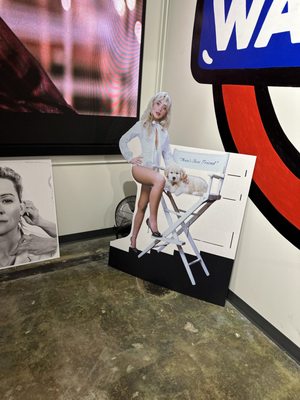 Waterloo Records & Video by null Waterloo Records & Video by null