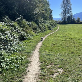 Three Forks Dog Park - Dog Parks Near Me - Snoqualmie, Washington Three Forks Dog Park - Dog Parks Near Me - Snoqualmie, Washington
