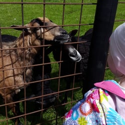 Jyllands Park Zoo