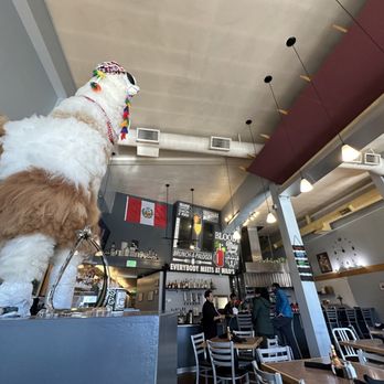 Milo's City Cafe - Llama mascot! - American Near Me - Portland, Oregon