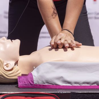 Safety Training Seminars - BLS CPR Renewal Classes in Petaluma - First Aid Classes Near Me - Petaluma, California Safety Training Seminars - BLS CPR Renewal Classes in Petaluma - First Aid Classes Near Me - Petaluma, California