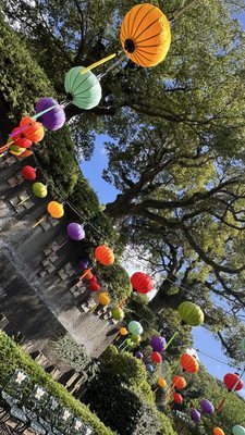 Glover Garden by null