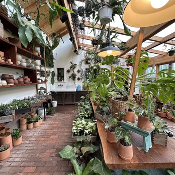 Pistils Nursery - Nurseries & Gardening Near Me - Portland, Oregon Pistils Nursery - Nurseries & Gardening Near Me - Portland, Oregon