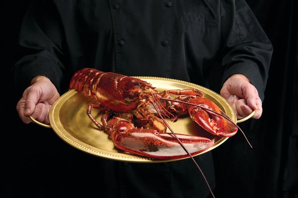 The Palm - Charlotte by null