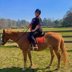 Willow Tree Farm & Riding School - Adults ride too, on Opie, our horse.