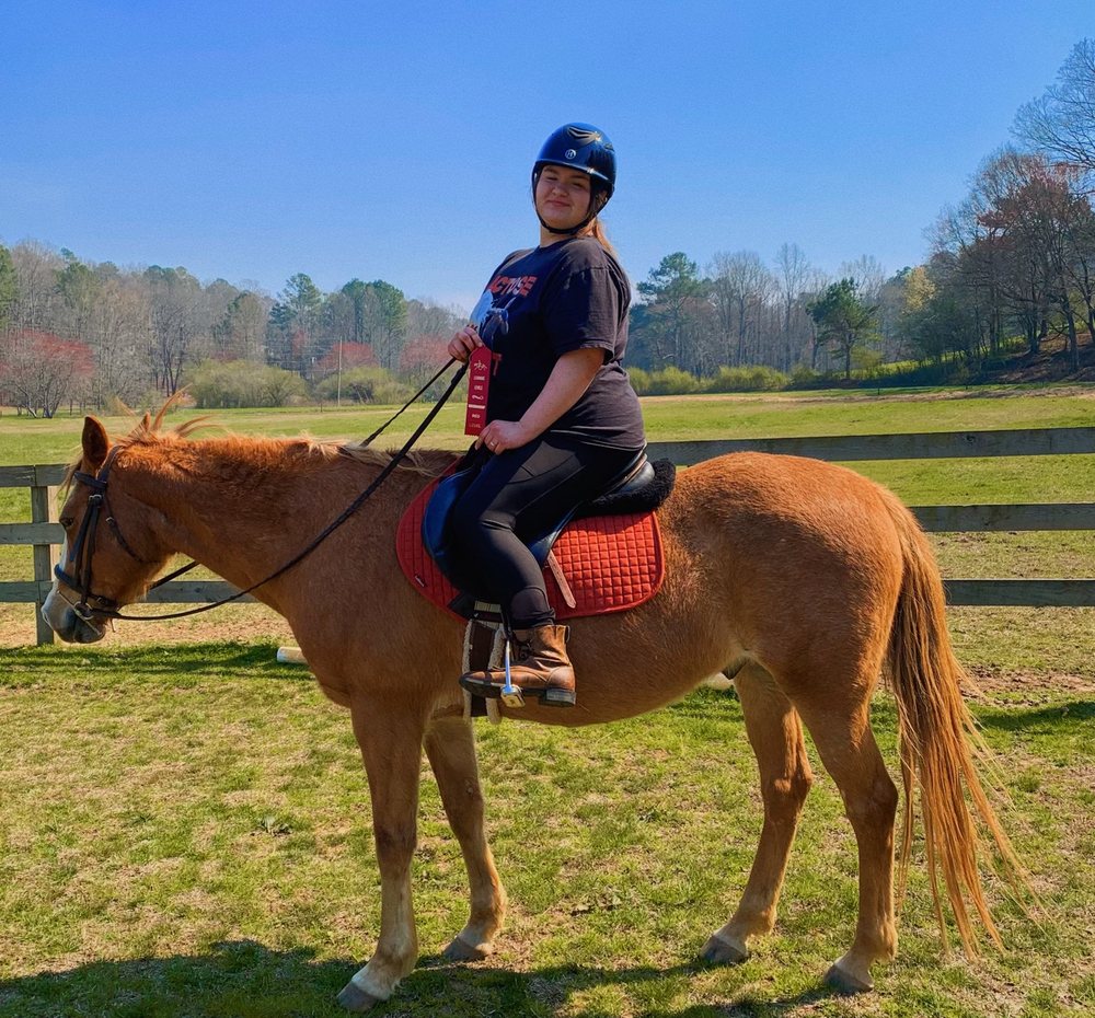 Willow Tree Farm & Riding School - equestrian in Ellijay, GA