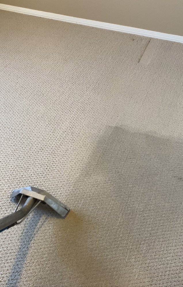 SPECIAL CARE CARPET & UPHOLSTERY CLEANING Updated July 2024 31 Photos 2807107 Avenue SE