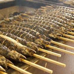 Fisch Hager