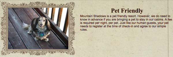 Mountain Shadows Resort by null