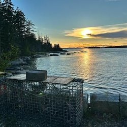Long Cove Sea Farm - Burnt Cove Boil - perfect place to enjoy your Long Cove oysters!
