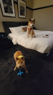 Kimpton Journeyman Hotel by null