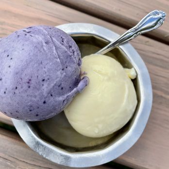 Spotted Duck - Vanilla and Fleur Bleu Custard - Ice Cream & Frozen Yogurt Near Me - Penn Yan, New York