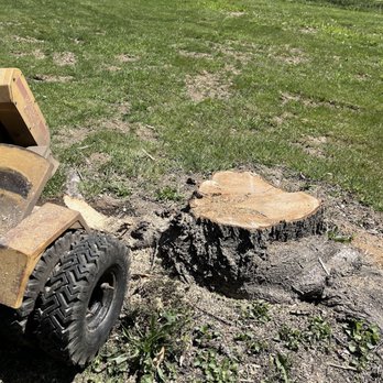 Lovins Stump Removal - Tree Services Near Me Lovins Stump Removal - Tree Services Near Me