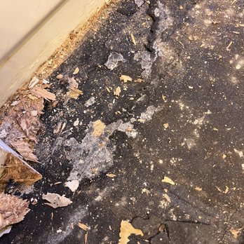 Mold Patrol - Damage Restoration Near Me - Burlington, North Carolina Mold Patrol - Damage Restoration Near Me - Burlington, North Carolina