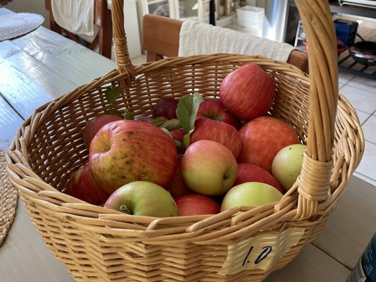 Bells Orchard by null