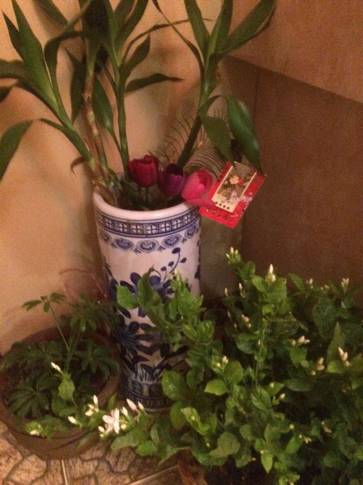 RAINBOW BODYWORK STATION Updated September 2024 10 Photos 27 Essex St, New York, New York