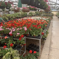Garden World - Let's do red and orange this year!