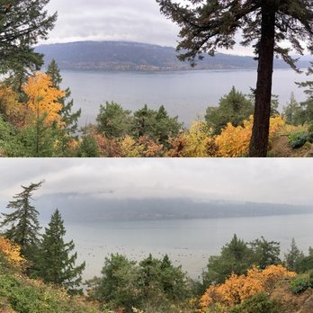 Western Edge Tree Service - Before and after view photo. - Tree Services Near Me - Hood River, Oregon Western Edge Tree Service - Before and after view photo. - Tree Services Near Me - Hood River, Oregon