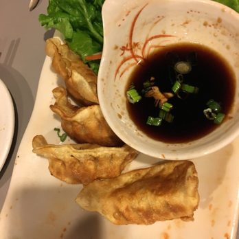 Pho 99 Aurora - 6 Chicken dumplings but I ate two and then took picture - Vietnamese Near Me - Aurora, Colorado