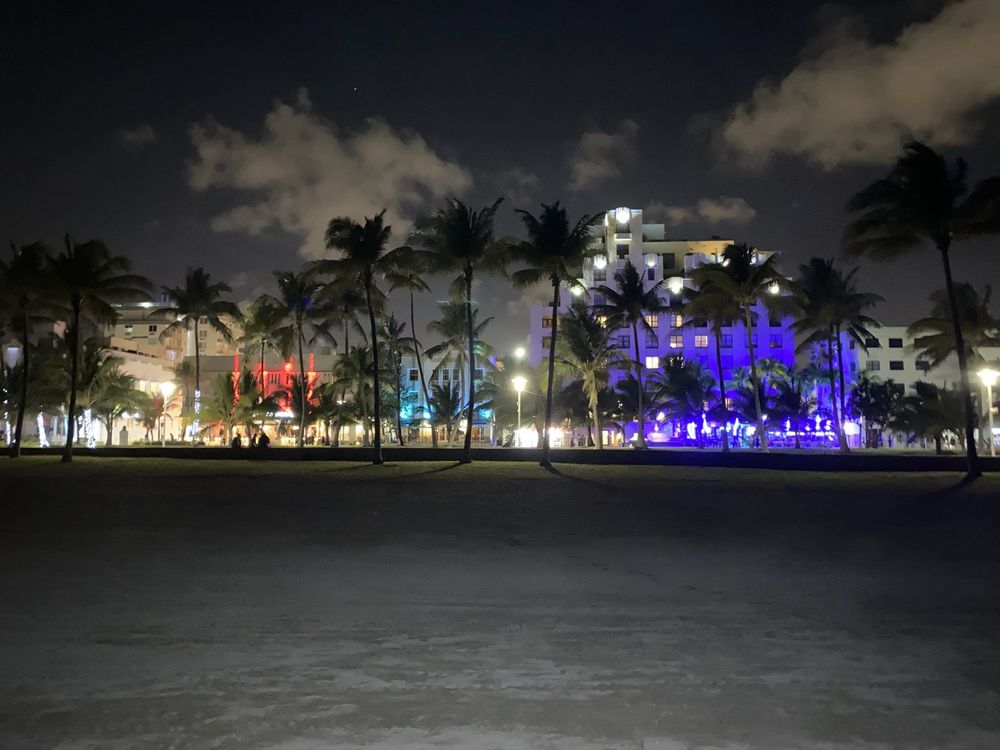 Lummus Park on South Beach Image