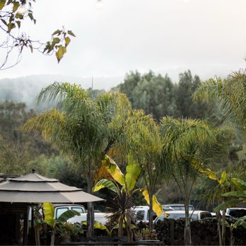Holly Farm - Venues & Event Spaces Near Me - Carmel, California