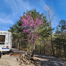 Our spot (J) was beautiful and mostly private. Picnic tables are new! Firepits and cable boxes available too! Our spot (J) was beautiful and mostly private. Picnic tables are new! Firepits and cable boxes available too!